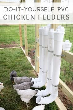 chickens in their pen with the words do - it - yourself p v chicken feeders