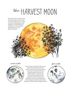 the harvest moon is shown with three different phases