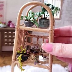 someone is holding up a miniature house plant