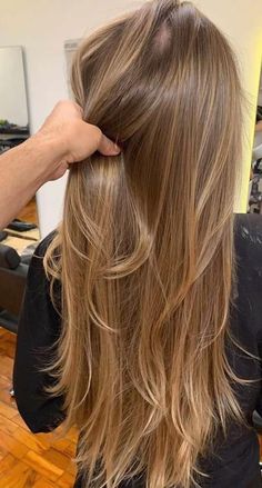 Warm Summer Blonde Hair, Fine Hair Cuts Long, Dish Water Blonde, Honey Babylights, Warm Blonde Highlights On Brown Hair, Natural Highlights For Dirty Blonde Hair, Blonde Hair Olive Skin, Natural Brunette Highlights, Level 6 Hair