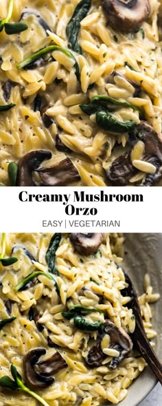 creamy mushroom orzoni pasta with asparagus and spinach