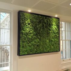 a moss covered wall in a room with windows and a window sill to the side