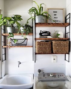 a bathroom with plants on the shelves and a washing machine in the sink basin area