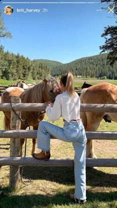 a woman leaning on a fence with horses in the background