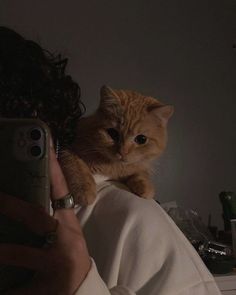 an orange cat sitting on top of a woman's shoulder while holding a cell phone