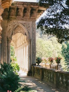 an archway in the middle of a garden with potted plants and flowers on either side