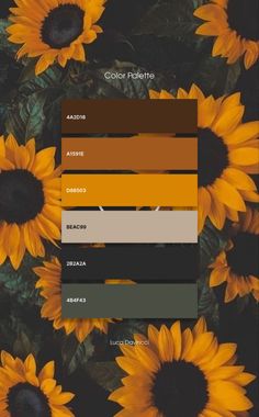 sunflowers are shown in shades of brown, yellow and green with the same color scheme