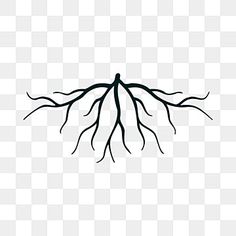 Download this Root Tree Icon Design Template Vector IsolatedTree IconsTemplate IconsRoot Icons PNG clipart image with transparent background for freePngtree provides millions of free pngvectorsclipart images and psd graphic resources for designers5896677 Root Logo Ideas, Tree Roots Logo, Root Logo Design, Soil Logo, Tree Icon Logo, Roots Illustration, Tree Of Life Logo, Tree Icons