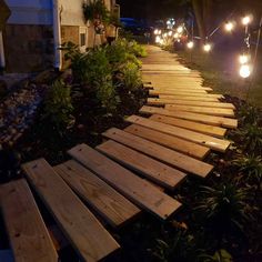 some lights that are on in the grass near a path with wood planks and plants