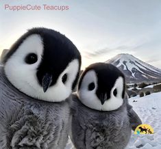 two stuffed penguins are standing in the snow