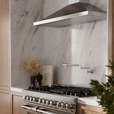 a stove top oven sitting inside of a kitchen next to a pot filled with flowers