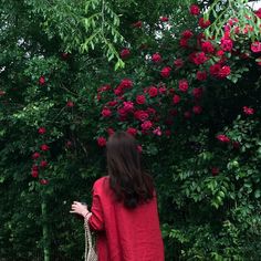 a woman standing in front of some red flowers