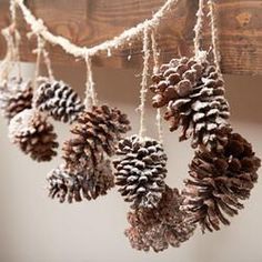 some pine cones hanging from a wooden beam