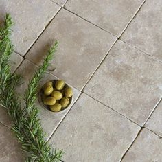 some olives are in a small bowl on the floor next to a sprig of rosemary