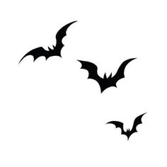 three bats flying in the sky