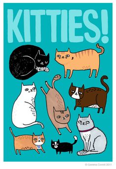 an image of cats that say kitties