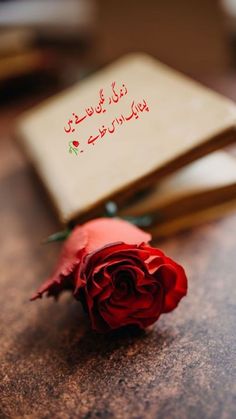 a red rose sitting on top of a table next to an open book with arabic writing