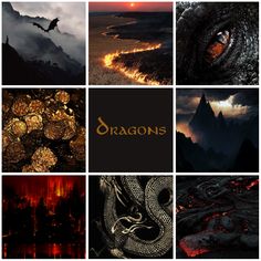 the dragon's collage is shown with many different images