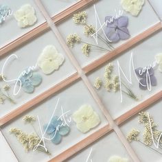 six pressed flowers are arranged in four rows on the same sheet of clear acrylic