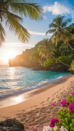 the sun is setting on a tropical beach with palm trees and flowers in blooming