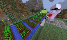 an image of a farm in minecraft