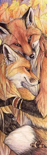 a drawing of two foxes hugging each other