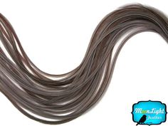 This listing is for 6 individual extra long premium quality genetic rooster hair feathers. Each feathers range from 11.5 inches and up. They are as fine as 1mm - 2mm. These are natural ash brown and is perfect to match them with bright colors. Looking to add natural looking highlights to your hair with a twist? The dark brown dun color of these feathers will blend perfectly with your natural hair color, and the pattern will give your hair a little something extra! Perfect for Feather HAIR EXTENS Natural Looking Highlights, Hair Feathers, Feather Extensions, Feather Hair Extensions, Rooster Feathers, Coupon Storage, Feather Hair, Solid Brown, Coupon Websites