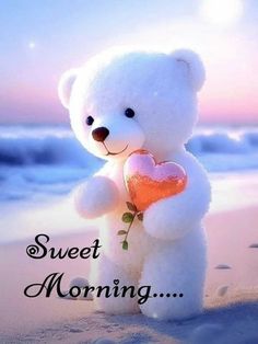 a white teddy bear holding a heart on the beach with words sweet morning above it