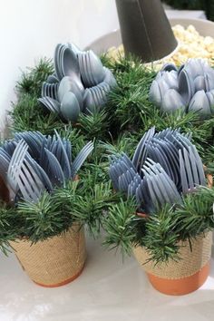 there are many forks and spoons in small pots on the table with pine needles