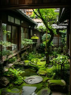 a japanese garden with green plants and rocks