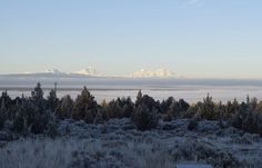 the mountains are covered in snow and fog as seen from an open field with trees