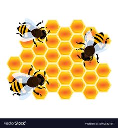 bees and honeycombs on white background