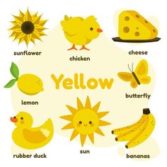 a yellow poster with different types of animals and their names in english, spanish, and german