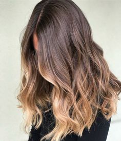 Ombre Dark To Light Hair, Partial Balayage On Brown Hair, Brown To Blonde Hair Color, Brown To Blonde Hair, Brown And Blonde, Blonde Tips, Colored Hair Tips, Blond Balayage