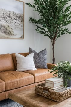 a living room with a couch, coffee table and potted tree in the corner