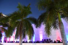 palm trees in front of a building with people walking around it at night time,