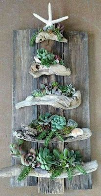 a wooden shelf filled with succulents and other plants on top of it