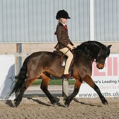 a woman riding on the back of a brown horse