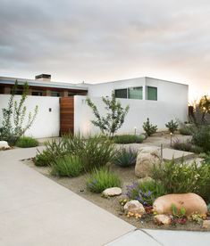 a house with plants and rocks in the front yard