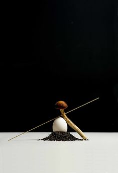 a mushroom sitting on top of a pile of dirt next to a wooden stick and an egg