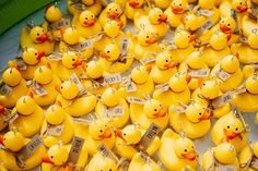 Rubber Duck Seating Plan At Wedding Sunflower Wedding Flowers, Dresses Alternative, Wedding Flowers Sunflowers, Sunflower Wedding Bouquet, Diy Wedding Inspiration, Barn Wedding Photography, Wedding Signs Diy