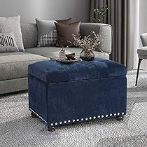 a living room filled with furniture and a blue ottoman