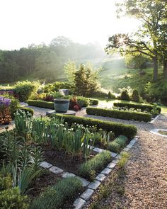 a garden with lots of different plants and flowers in it's center, surrounded by trees