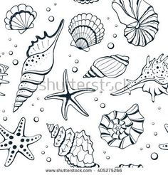 sea shells and starfish in black and white on a white background for coloring book pages