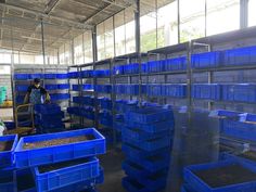 a man standing in front of blue bins filled with dirt and sand inside of a building