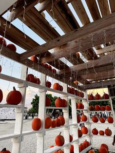 several rows of pumpkins are hanging from the ceiling in an open area with wood slats