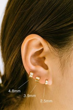 an ear with three small gold bars attached to the back of it's ear