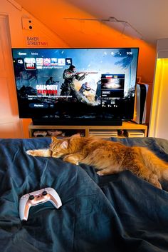 an orange cat laying on top of a bed next to a tv