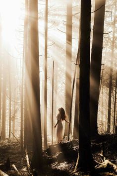 a woman standing in the middle of a forest surrounded by tall trees with sunbeams