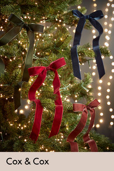 the christmas tree is decorated with ribbons and lights